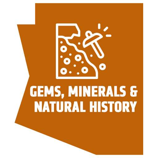 ICONS COMMUN OUTREACH-Recovered 4